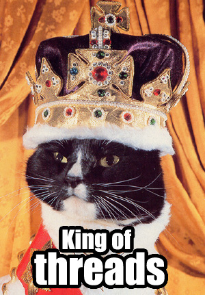 king-of-threads-cat-cats-kitten-kitty-pic-picture-funny-lolcat-cute-fun-lovely-photo-images.jpg